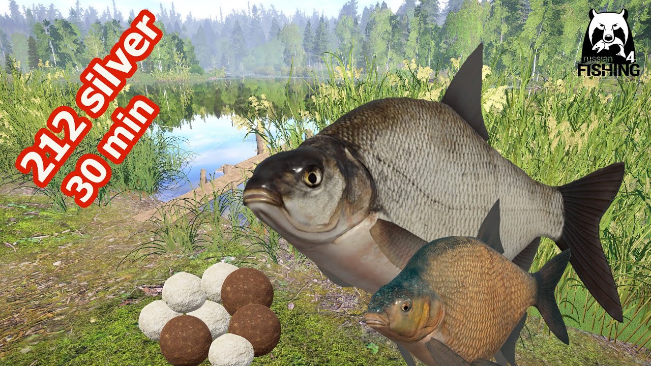 Russian Fishing 4 RF4 Old Burg | Active spot Bream. Good earnings