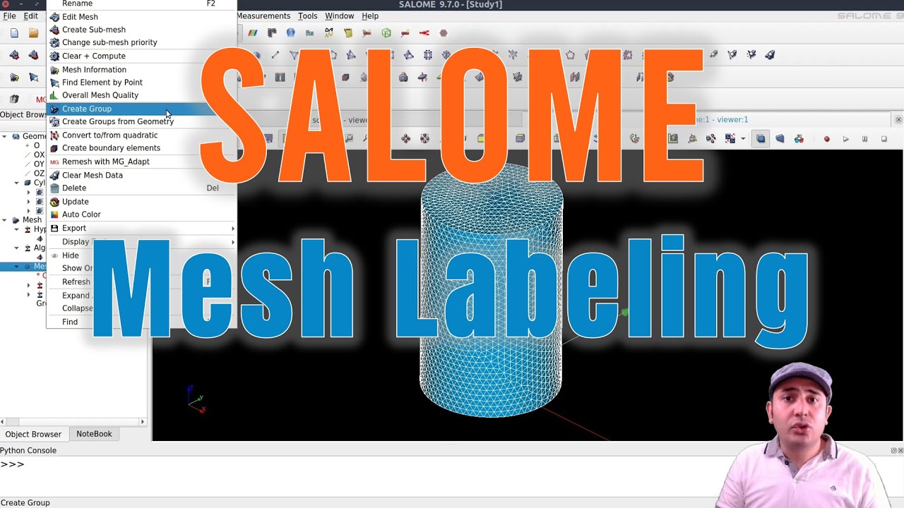 SALOME mesh generation and labeling for exporting it to other programs [On Demand 2]