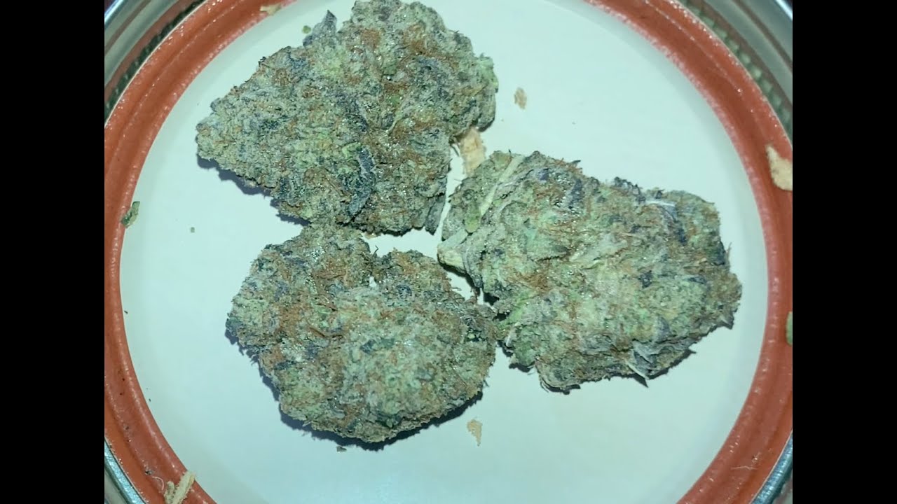 Gary Payton - Strain Review #6