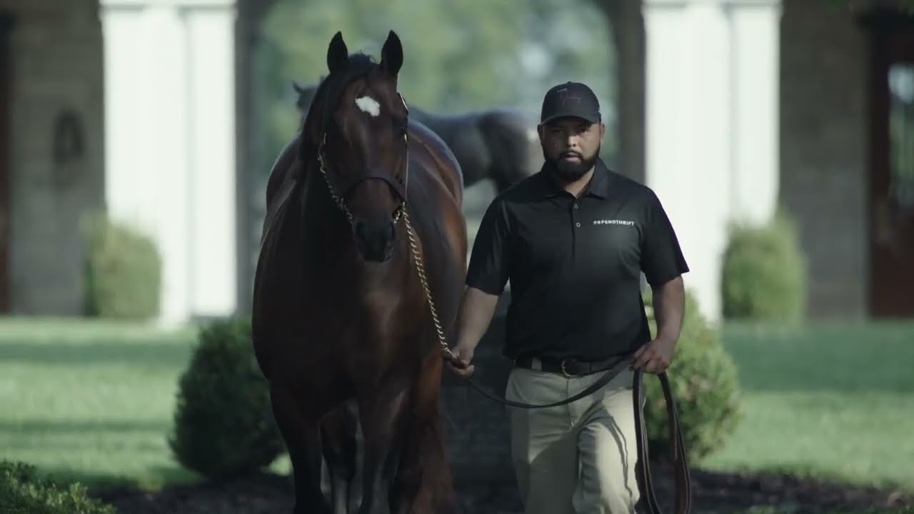 Foal to Finish Line | Breeding A Champion