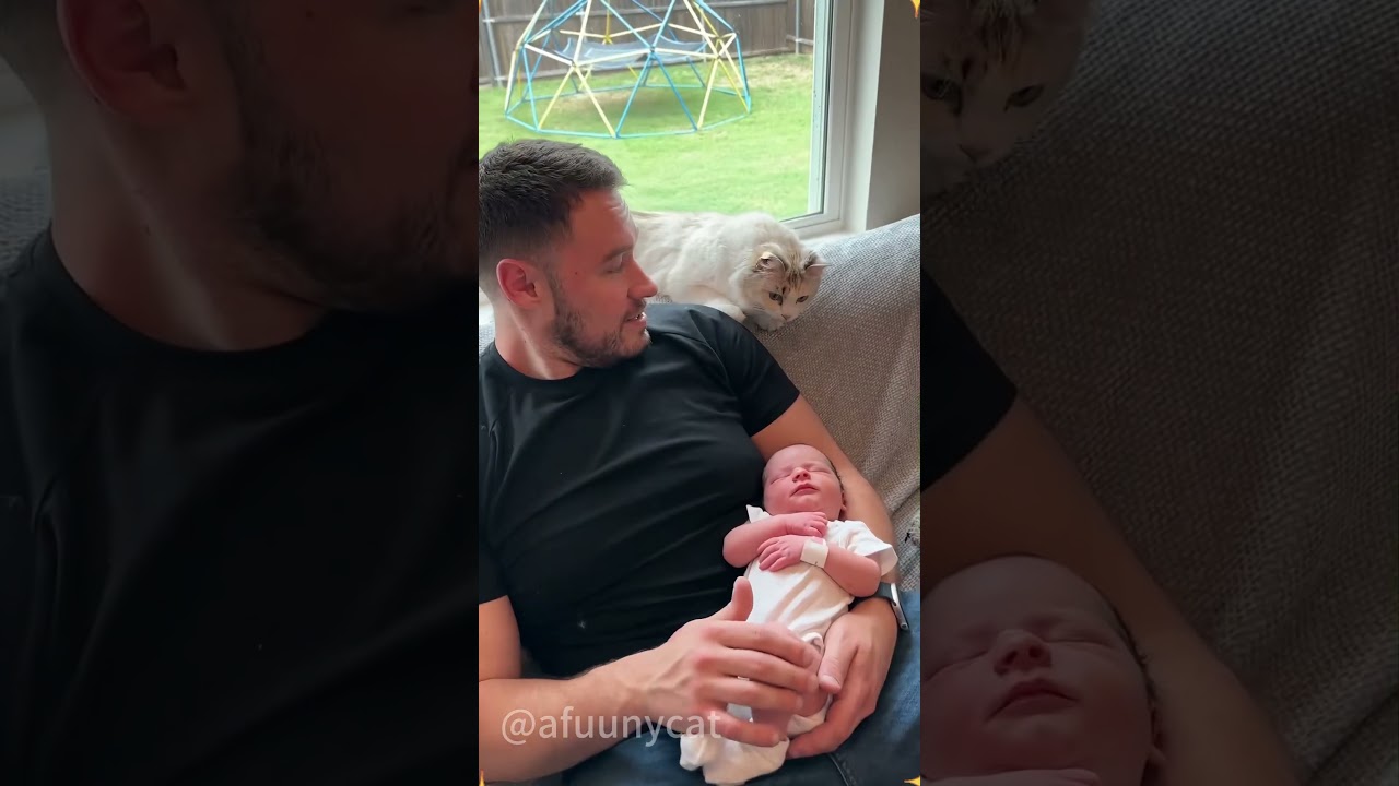 Cat sees baby for the first time ❤️❤️##catlover  #funny  #funnyvideos
