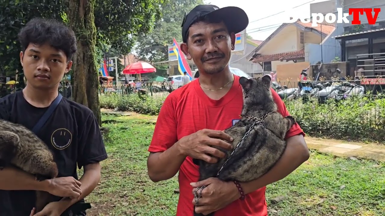 Musang, Komunitas Animal Lover Depok Hadir Tiap Hari Minggu Dilapangan Merdeka