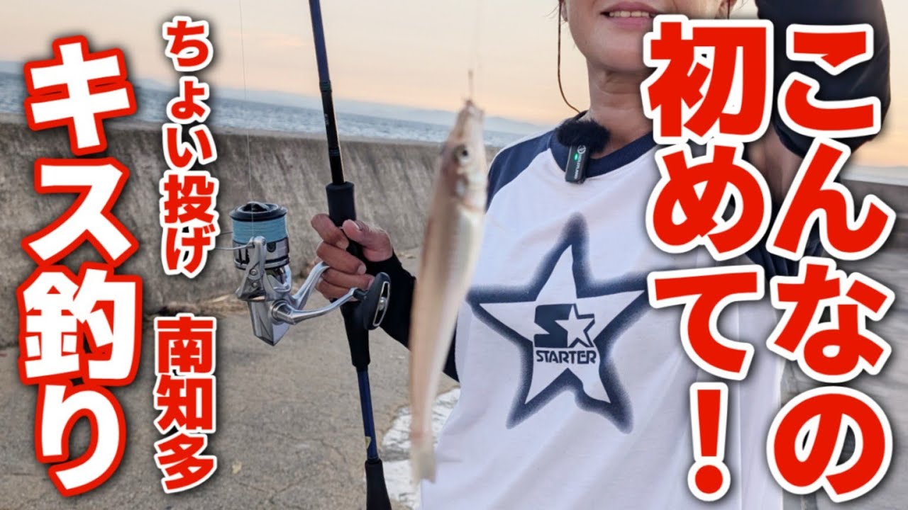 【愛知県釣り】キス入れ食い！ちょい投げで今年最高の爆釣劇 サイズも大きくなりました！