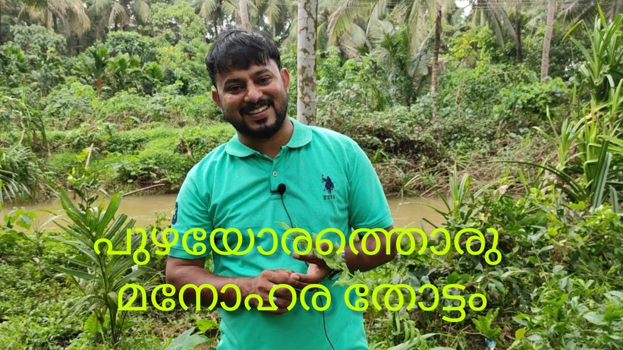 #plot for sale#പുഴയോരത്തൊരു അടിപൊളി സ്ഥലം വില്പനക്ക് #