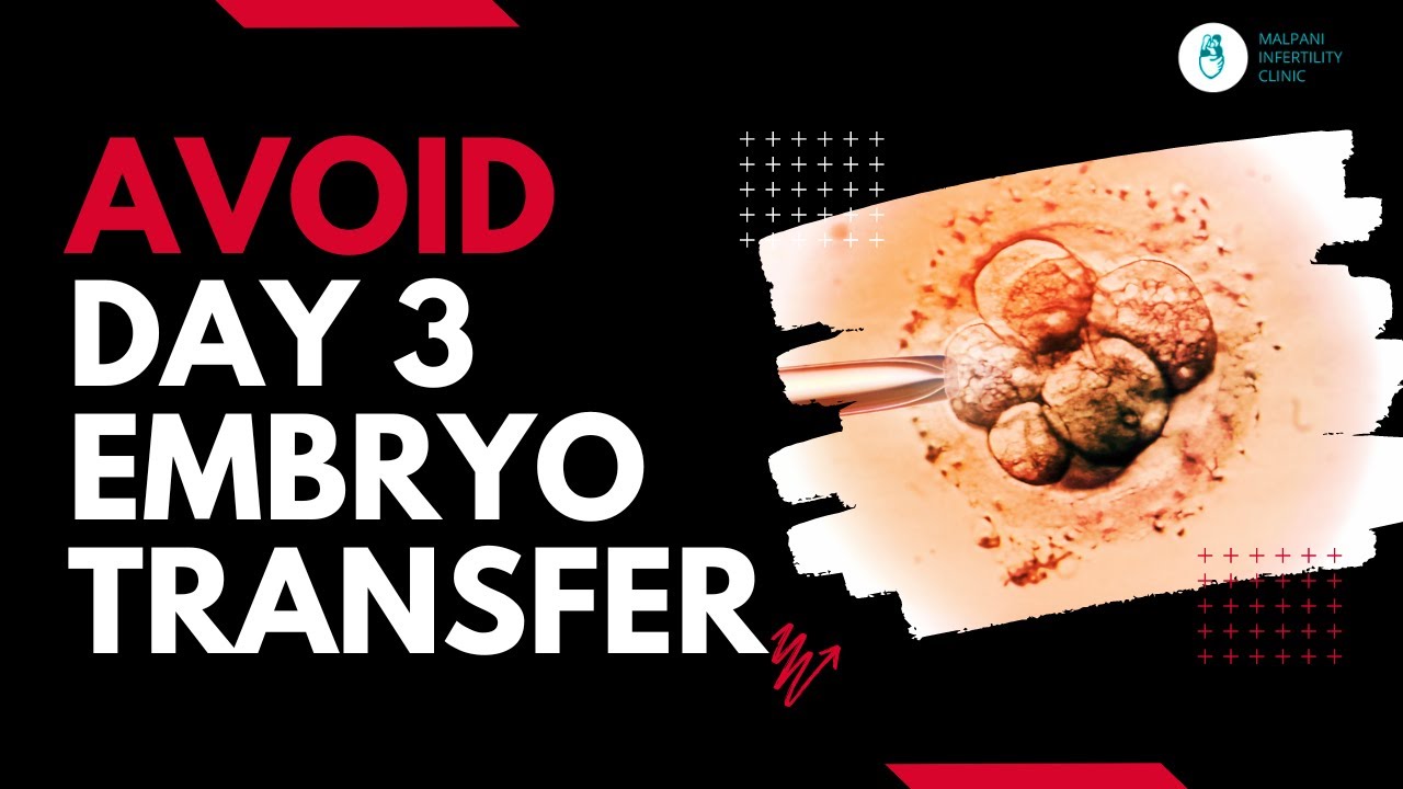 Why you shouldn't agree to a Day 3 embryo transfer by your IVF doctor? | IVF Tips | IVF Process