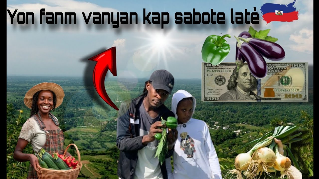 Yo di ayiti paka bay tèt li manje, ebyen vin savoure strateji yon jèn fi poul fè lajan.