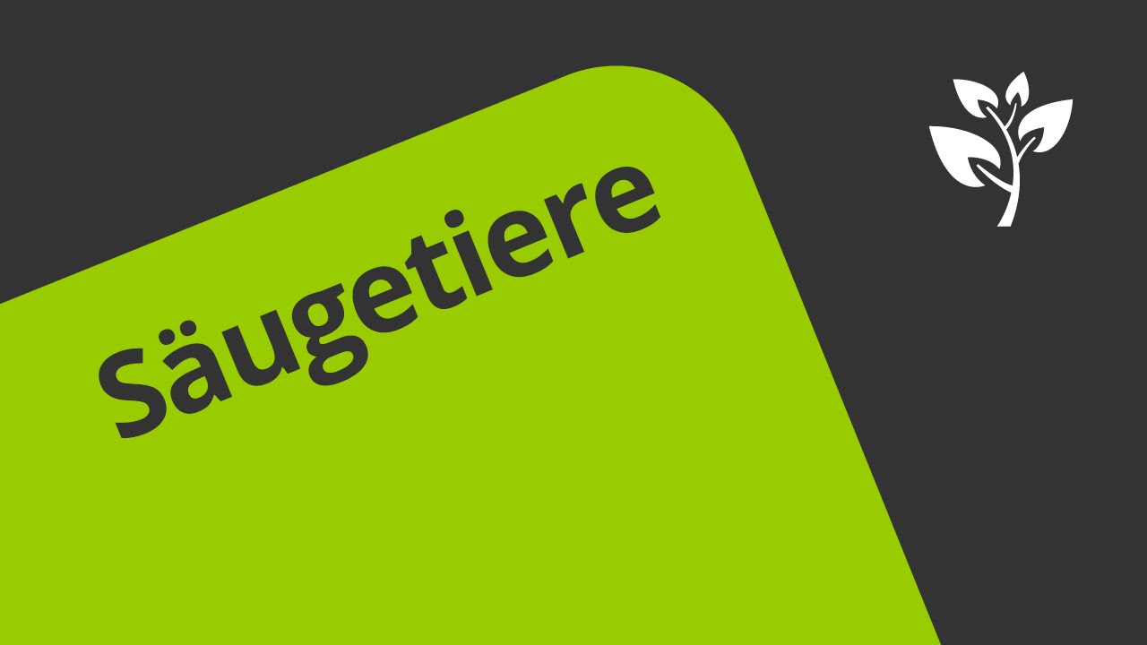 Gangarten der S&auml;ugetiere leicht erkl&auml;rt | Biologie | Tiere