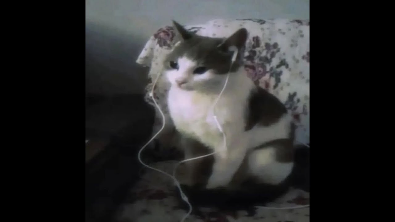 microchip