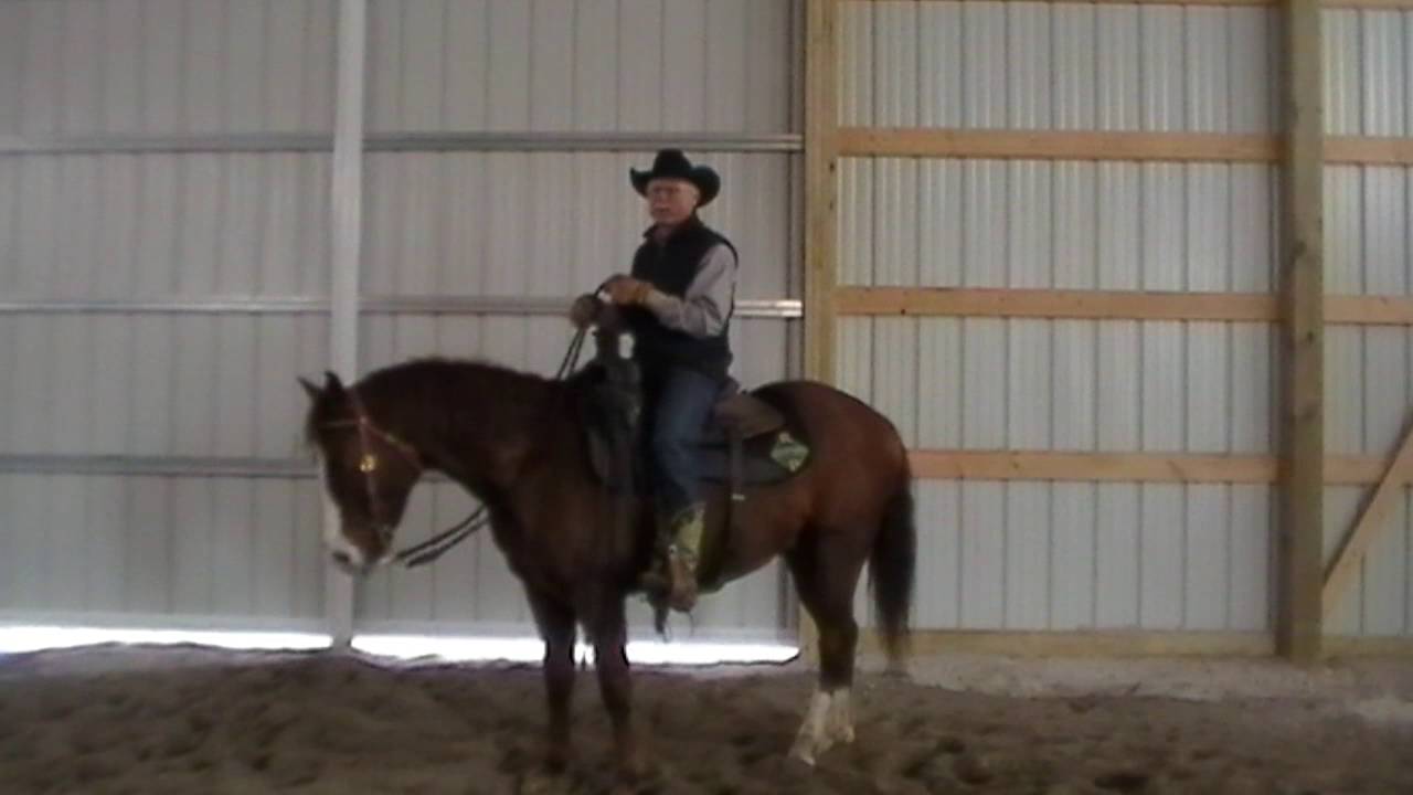 Dennis Cappel: Staying on the horse