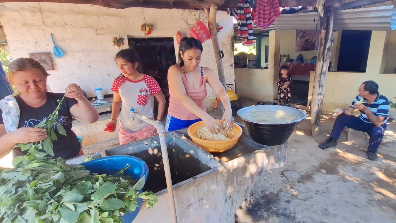 LLEGO LA GRINGA A SALUDAR A PAPITA KOMI 😅😅😅