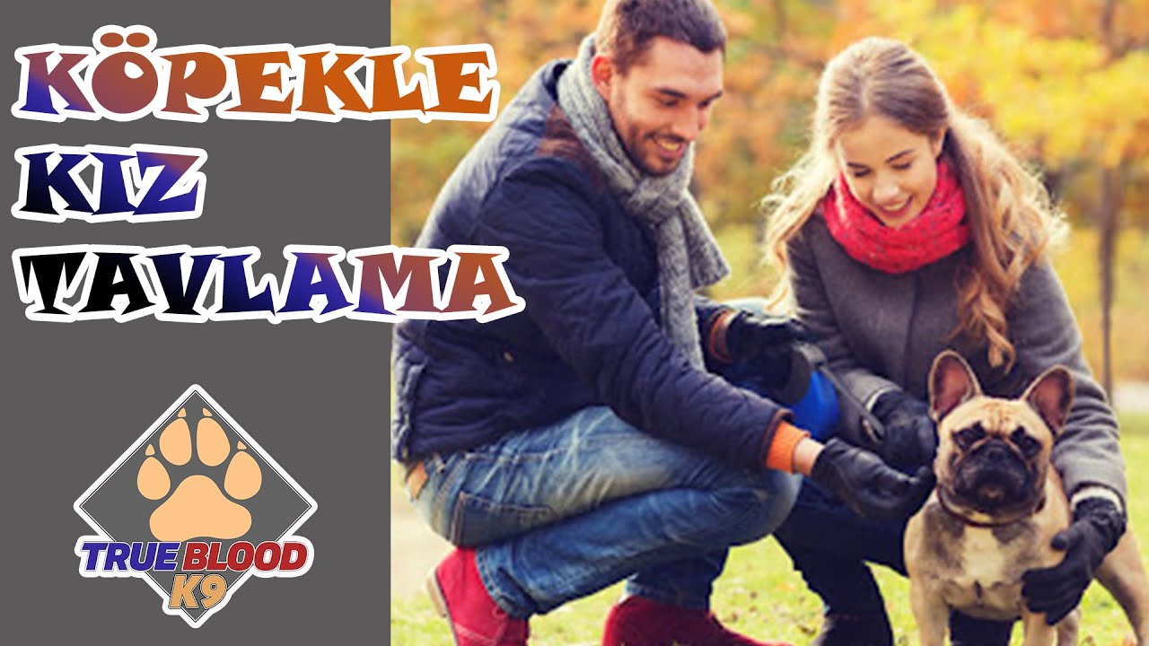 NE TATLI KÖPEK SEVEBİLİRMİYİM - KÜÇÜK KÖPEKLER GÜZEL KIZLAR - KIZ TAVLAMA