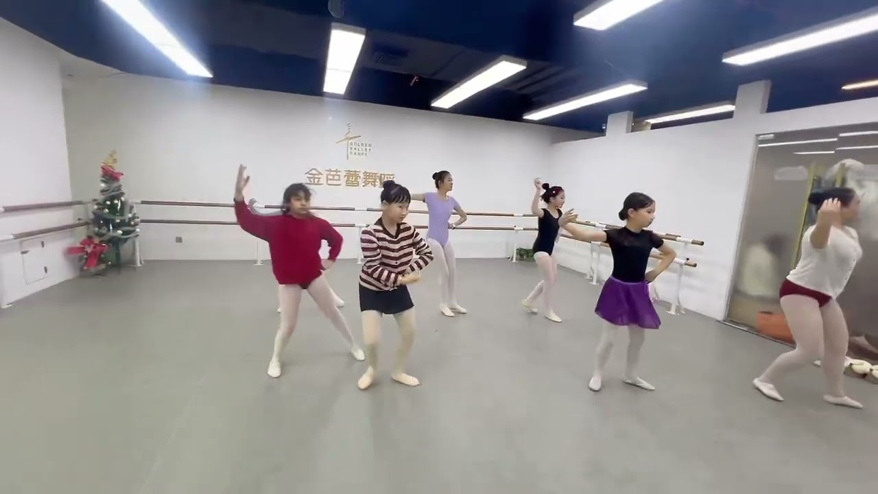 Ballet practice 