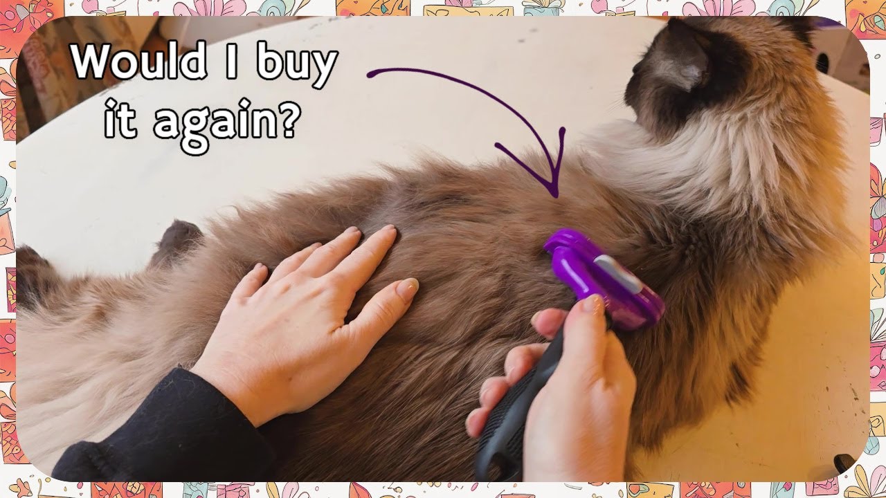 Furminator Cat Deshedding Tool for Cats, Demo and Review