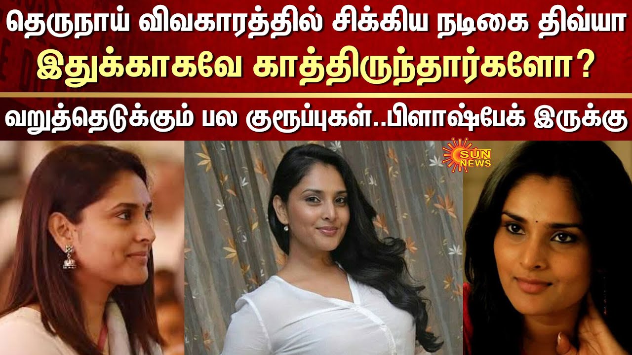 Actress Divya Spandana | Ramya | Controversy | Stray Dog ​​Issue | Darshan | Renukaswamy | Flashback