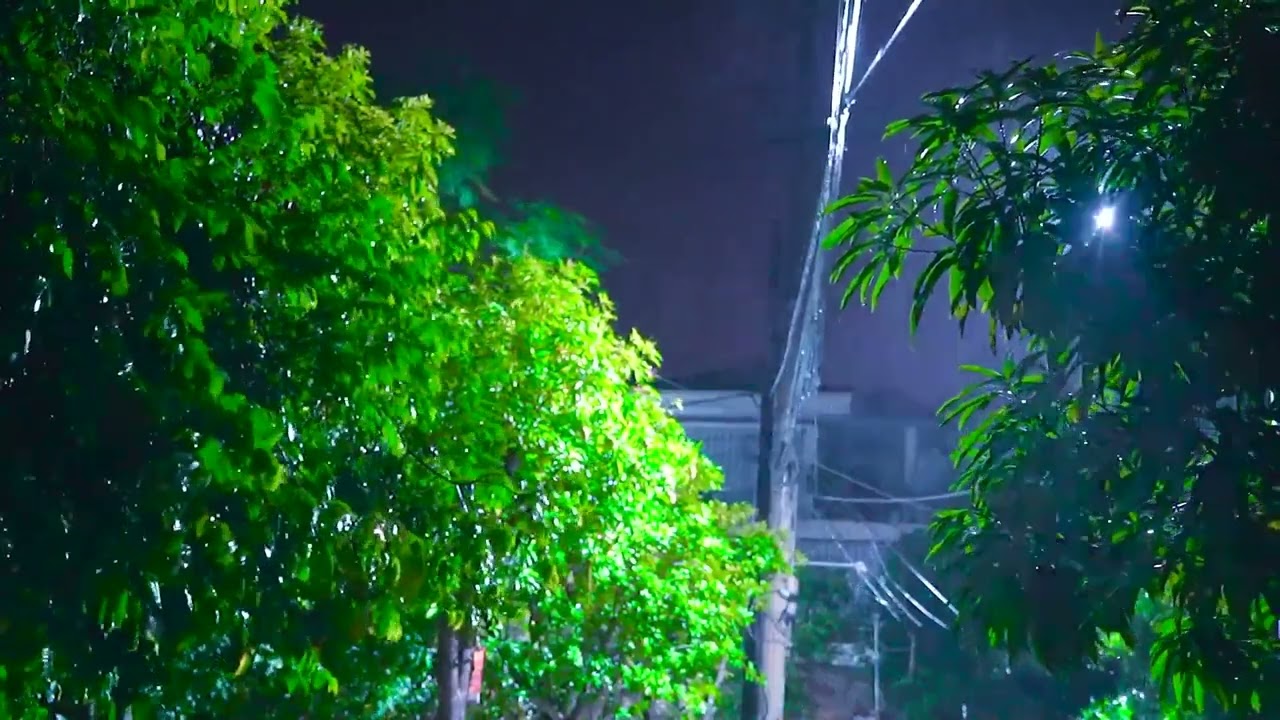 🎧 Fall Asleep with Soothing Rain Sounds  Ambient Noise For Sleeping, @Ultizzz day#55