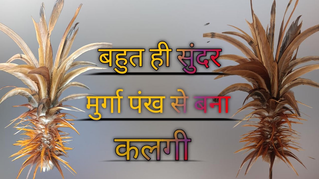 🐓 🐓मुर्गा 🪶 पंख से बना बहुत ही सुंदर कलगी😱😱😱