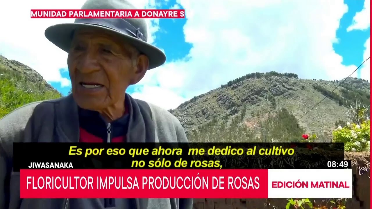 Puno: floricultor de 80 a&ntilde;os impulsa producci&oacute;n de rosas