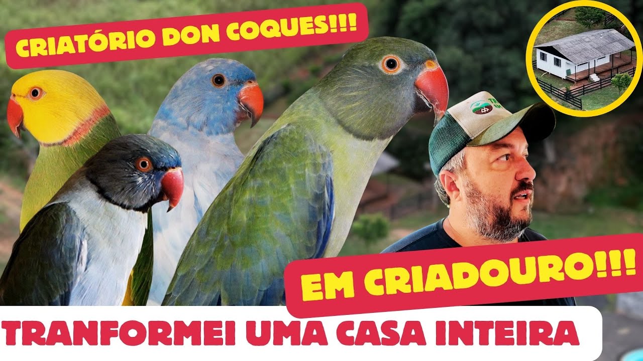 UM PARAÍSO de CRIAÇÃO de AVES no MEIO do MATO!!!