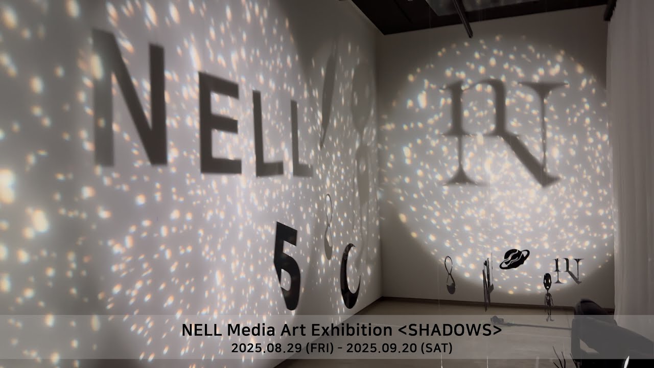 직캠 채널에 이 무슨? 넬 전시회는 특별하니까