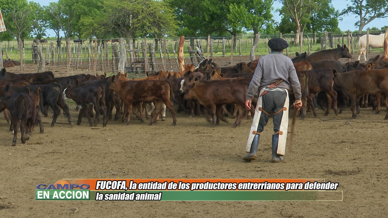 FUCOFA La entidad de los productores entrerrianos para la sanidad animal - Daniel Peiretti