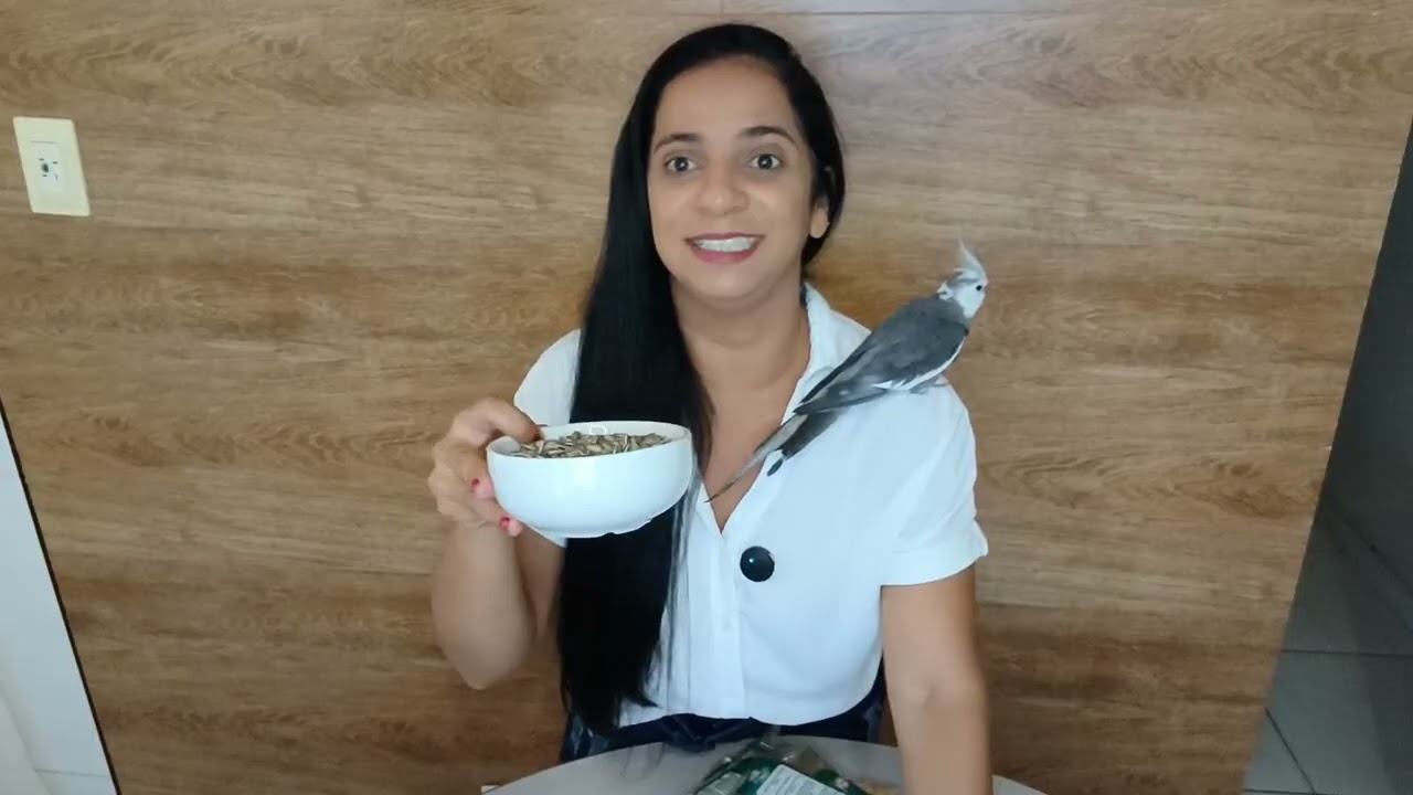 Como preparar um mix de sementes para calopsitas.