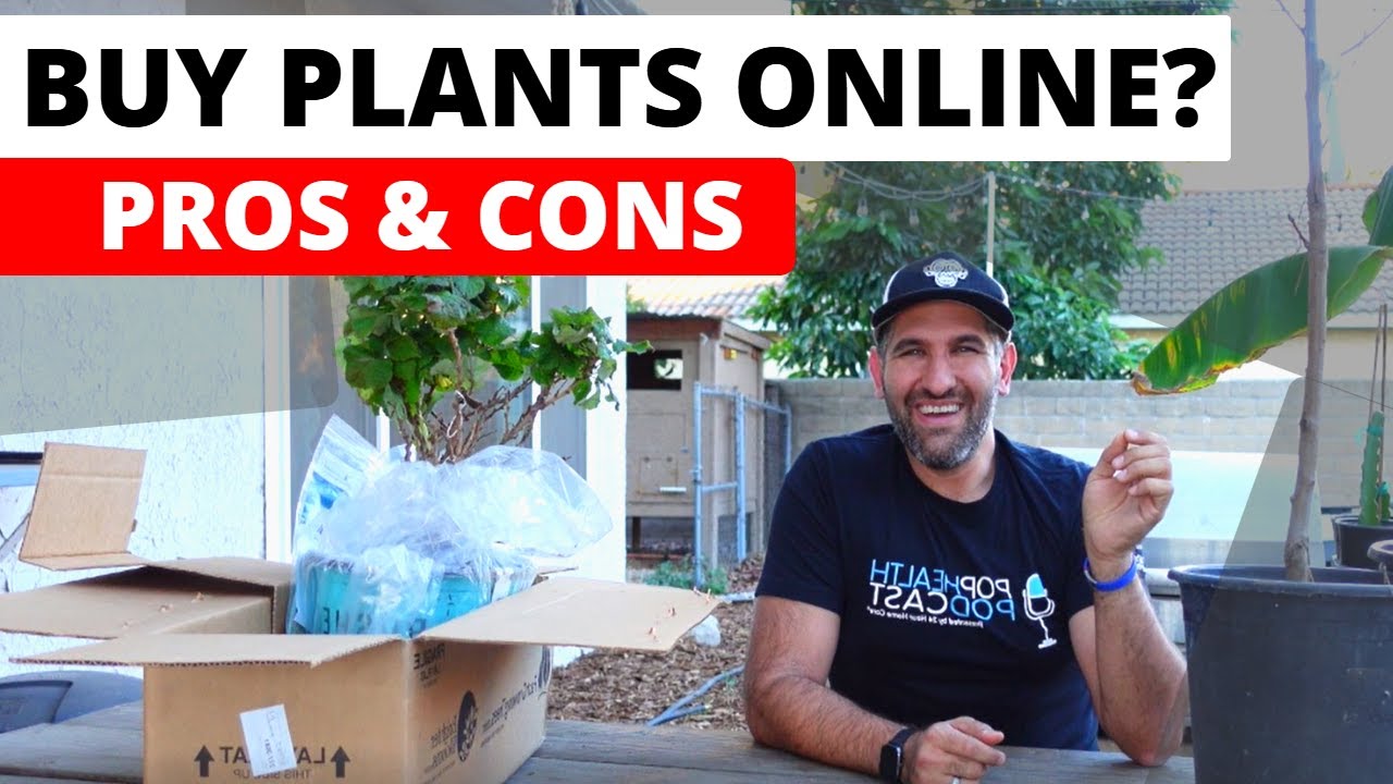 Should You Buy Plants ONLINE?? Pros & Cons of Ordering Plants Online vs. Local Nursery