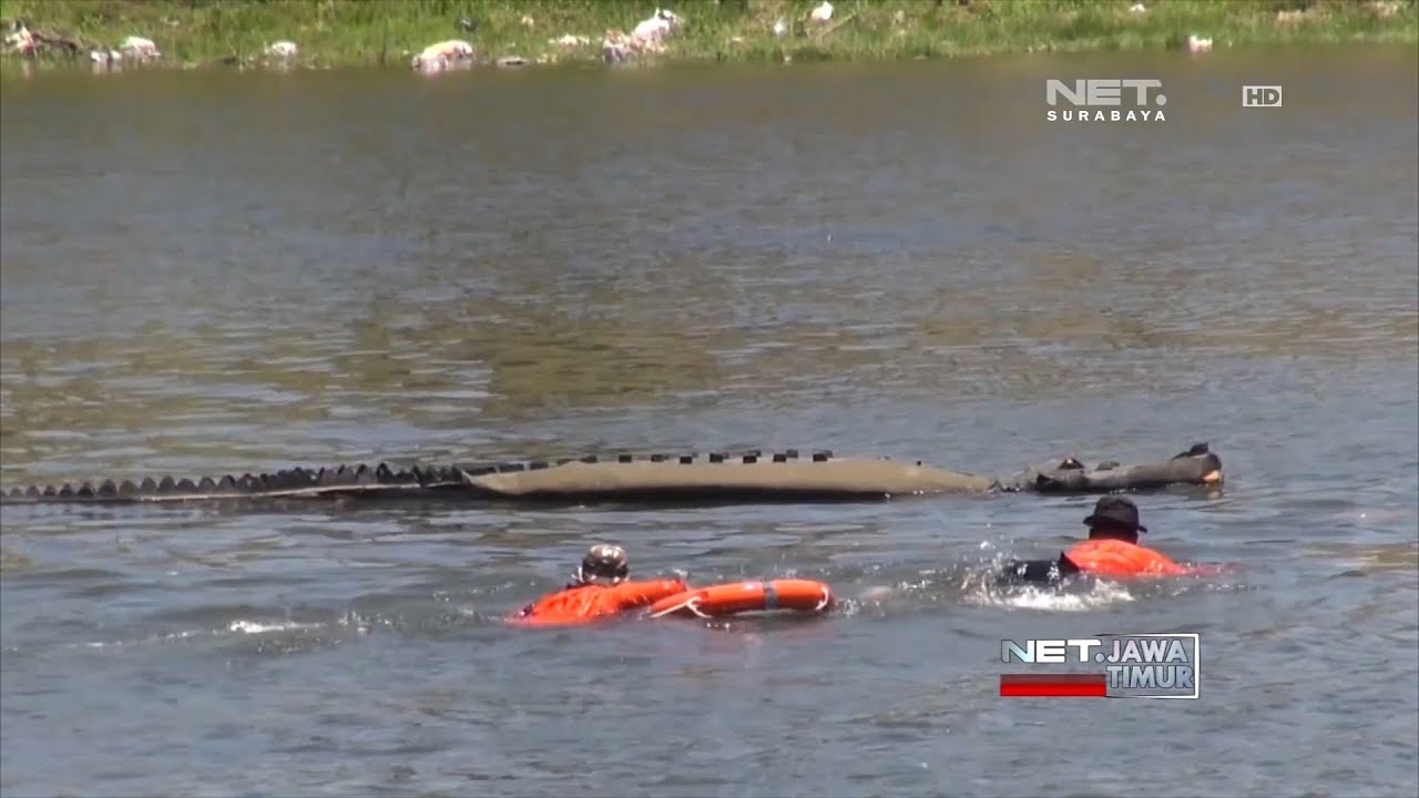NET. JATIM - BUAYA PALSU DI KALI PORONG HEBOHKAN WARGA SIDOARJO