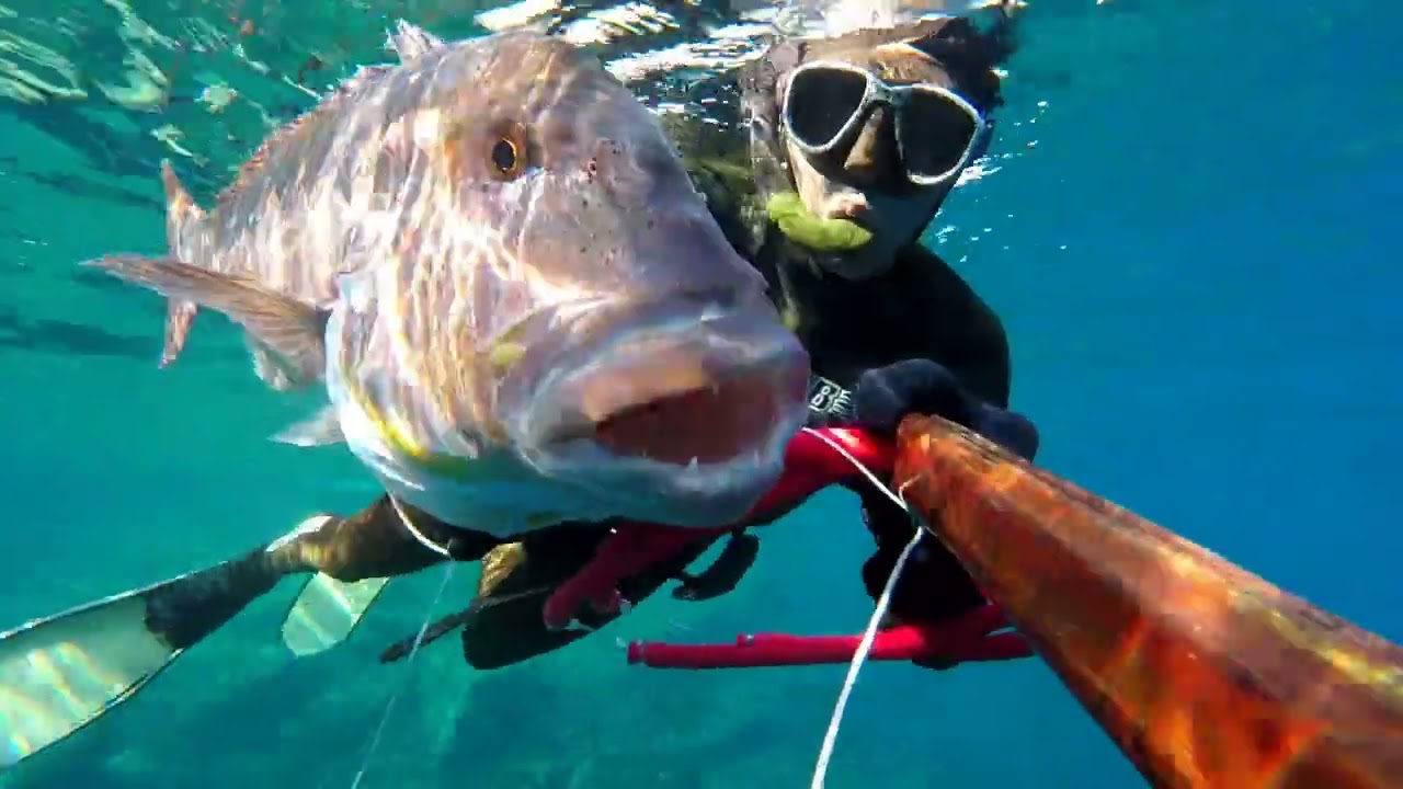 Chasse sous marine 100% Denti en Corse
