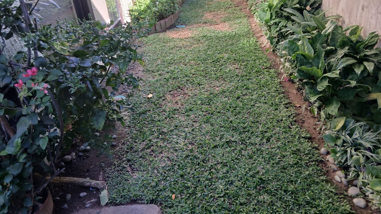 nognog baloga mixvlog is live!ang lamig tara papawis