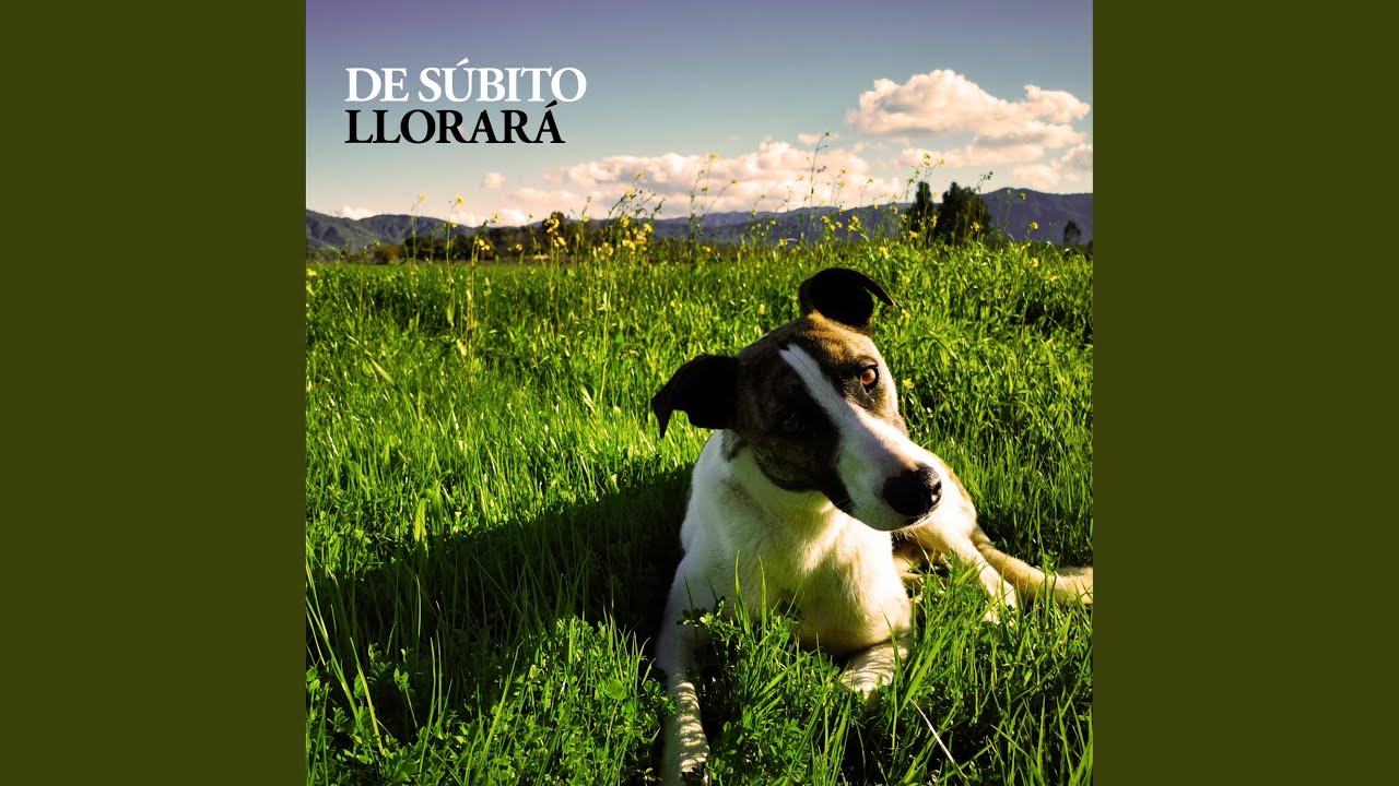 Llorará