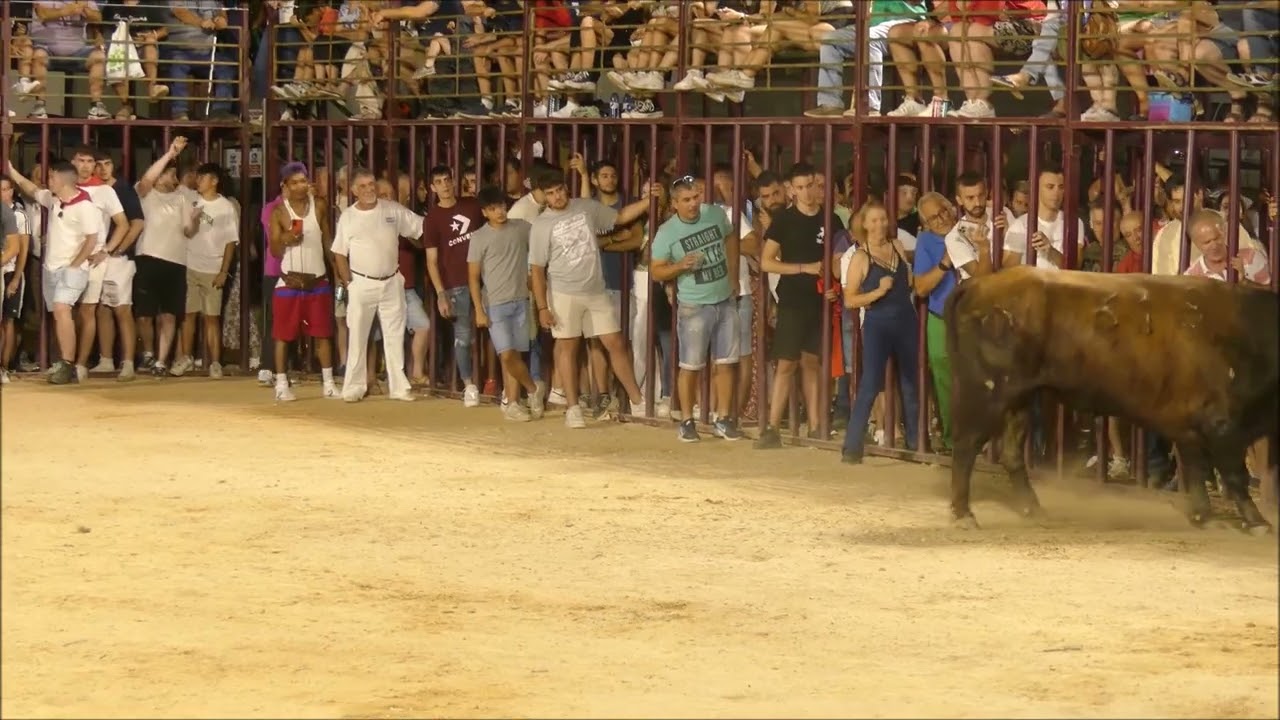 Festejo Taurino Nocturno en Paraje de Santa Lucía en Fiestas de San Cristóbal de Jaraíz de la Vera