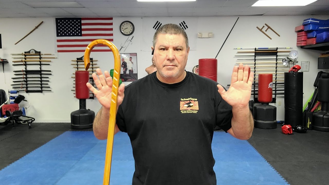 Cane Self Defense with Being in a non-threatening stance but still able to defend yourself.