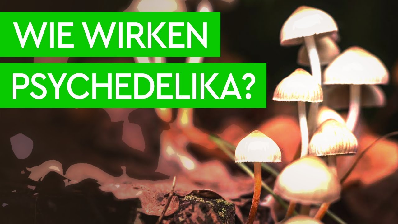 Dein Gehirn auf Psychedelika | Wissenschaftlich erkl&auml;rt