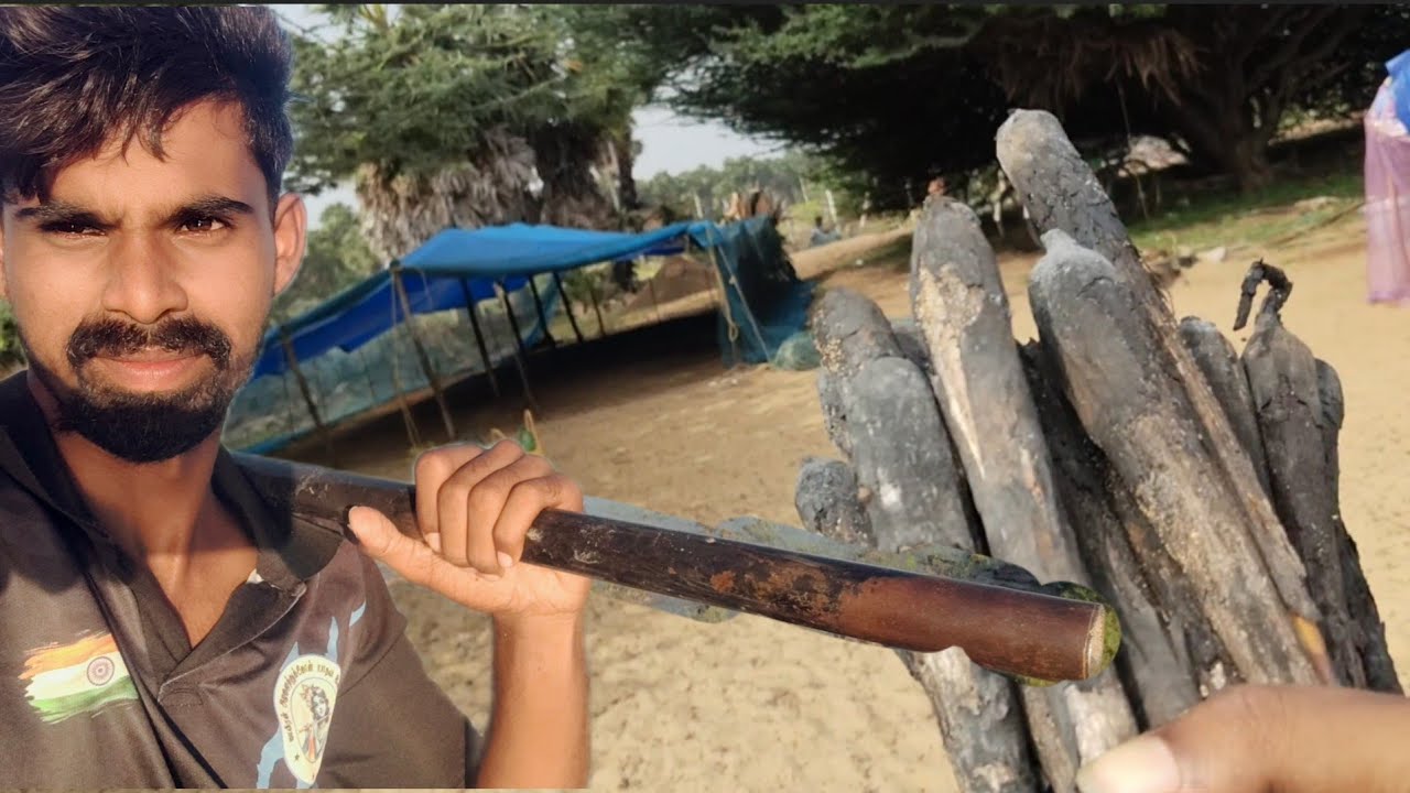 சுட்ட பனங்கிழங்கு ⛺😋🤤|இந்த சுகம் எத்தனை நாளைக்கு என்று தெரியவில்லை 🥺#lifestyle #villagelife#trending
