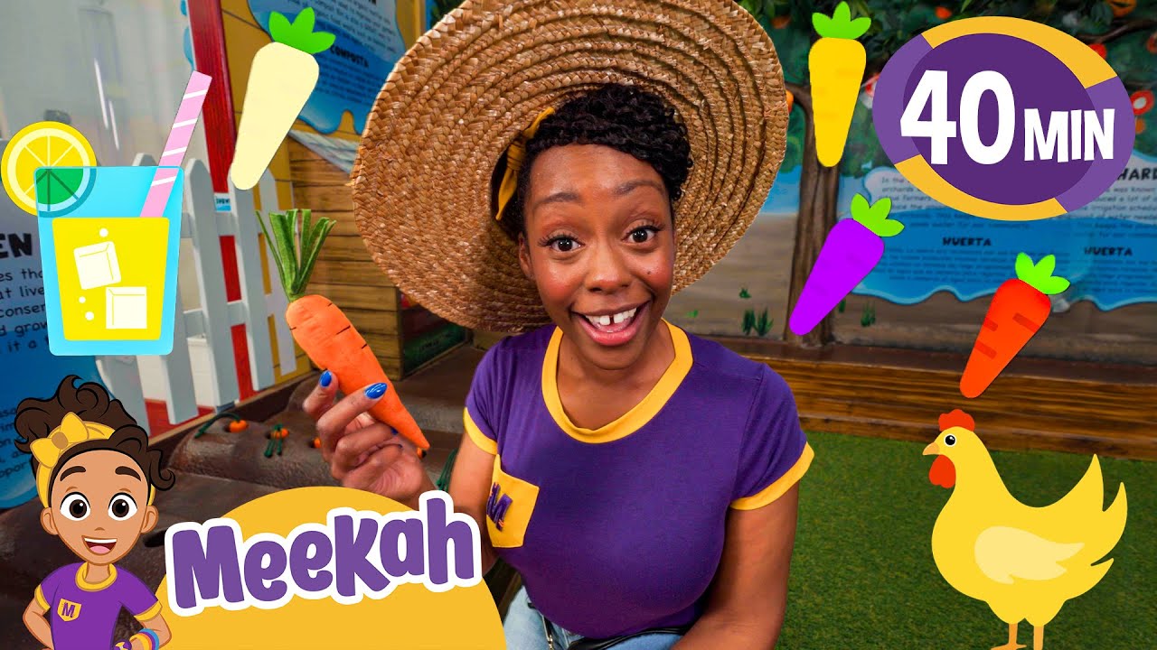 Meekah Counts All the Healthy Food! | Educational Videos for Kids | Blippi and Meekah Kids TV