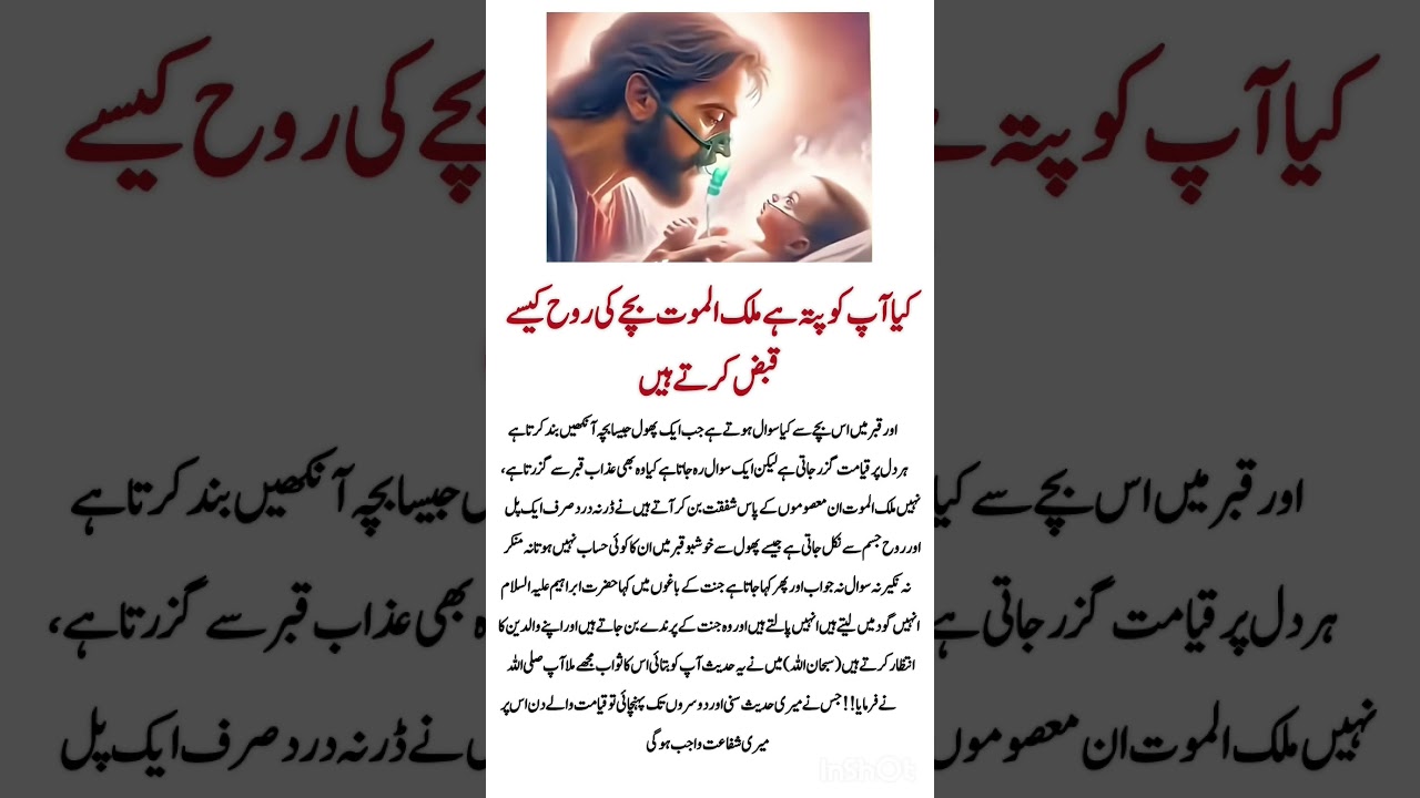 right #quotes #rumiaqwal #poetry #news #information #bestquotes #islamicchannel #motivation #facts