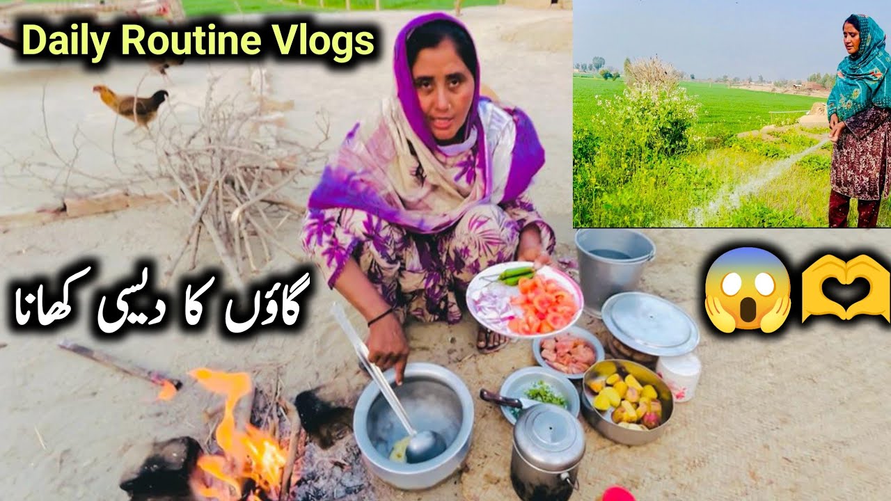 Village Mein Daily Routine Vlogs | Family Vlogs | Shabana Vlogs 