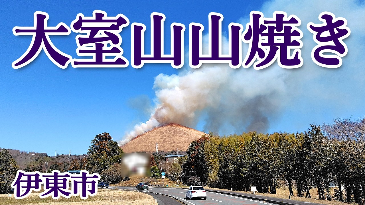 700年の歴史を誇る伊豆の春の風物詩「大室山の山焼き」
