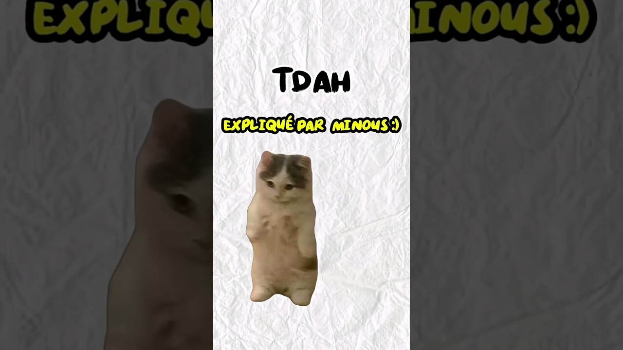 TDAH expliqu&eacute; par Minou :) #chats #chatsoftiktok #minouexplique #tdah #classement