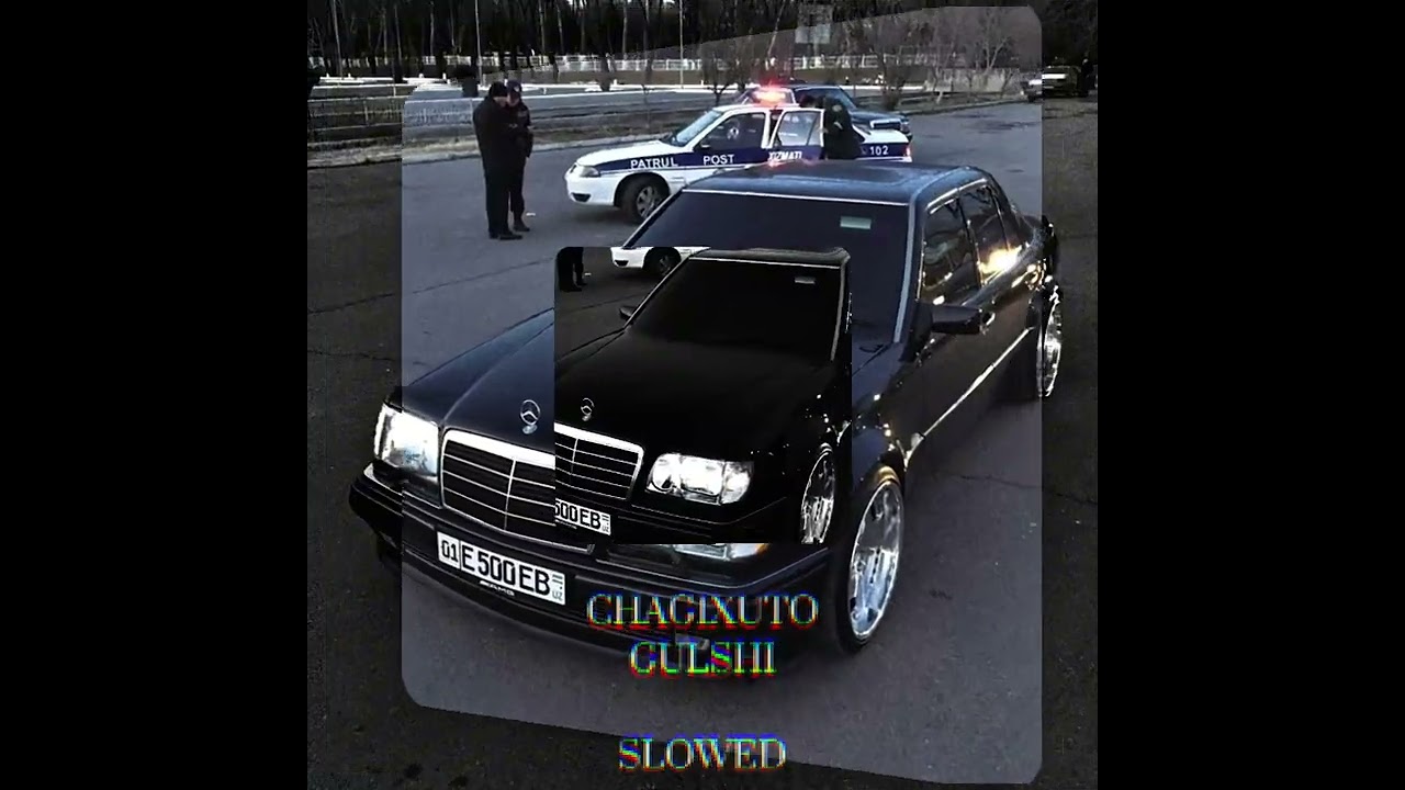 Chagixuto Gulshi [ Slowed to Perfection ] Georgian Song 🇬🇪 
