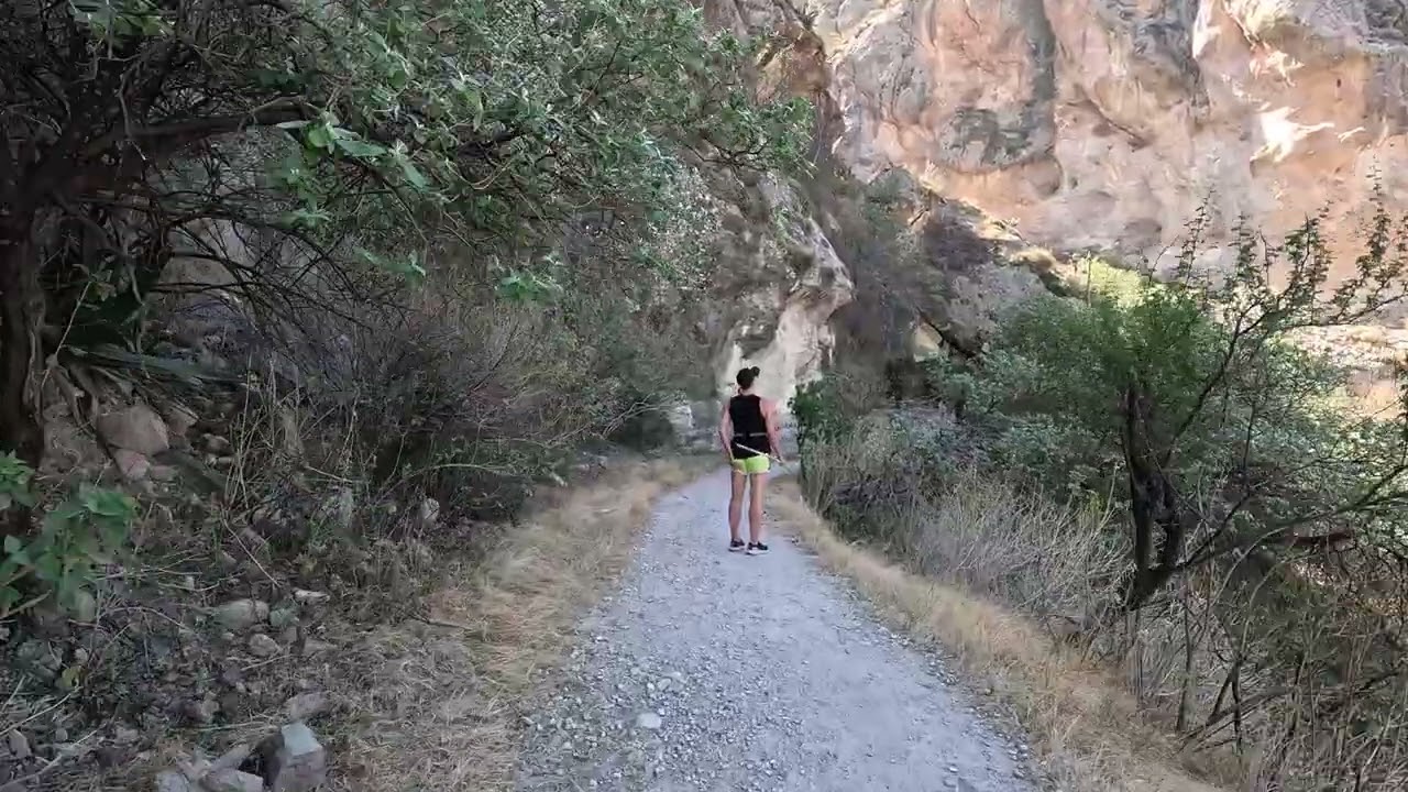Cerro De La Bufa 2