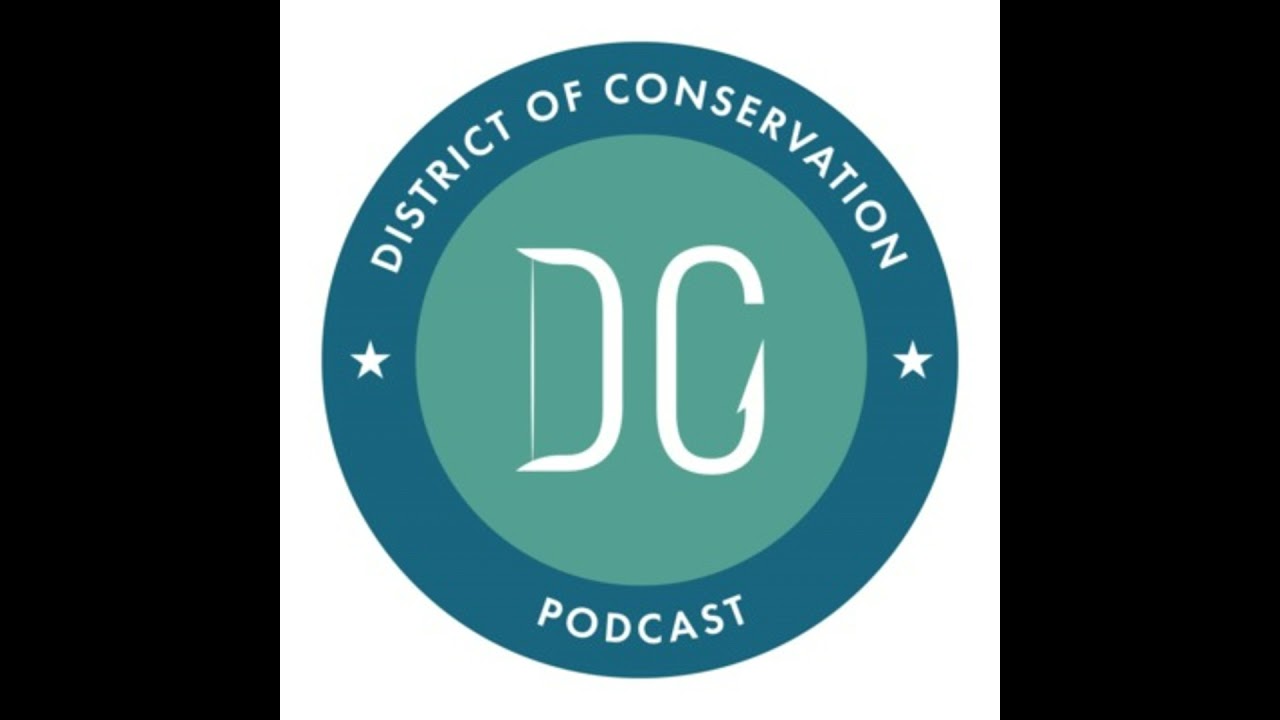 EP 536: The Free Press' Lucy Biggers on Disavowing Climate Alarmism