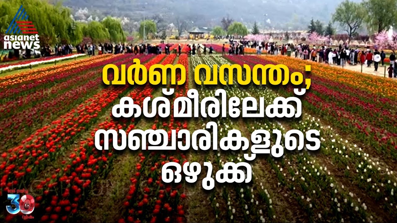 ഇത് പൊളിക്കും.... കണ്ണിന് കുളിർമയേകി കശ്മീരിലെ ടുലിപ് പൂന്തോട്ടം | Tulip Garden