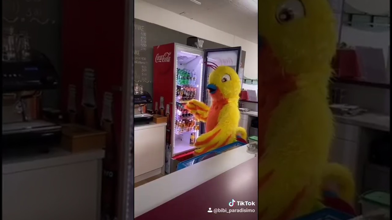 Bibi spielt mit Tiktok in der Coronazeit.