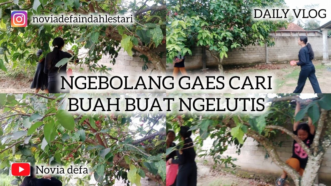 NGEBOLANG GAESS CARI BUAH BUAT NGELUTIS #trending #trendingvideo #fyp #vloglampung #ngerujak #pedas 