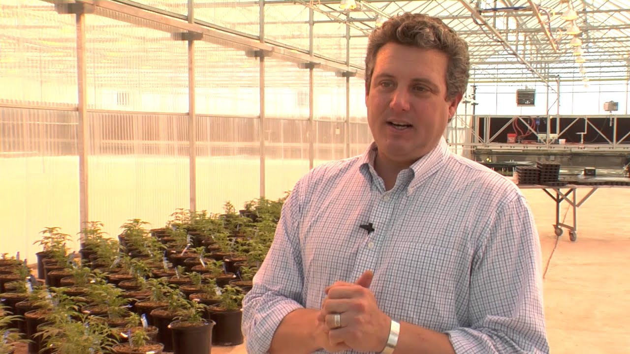 Growing Greener Pot in Greenhouses