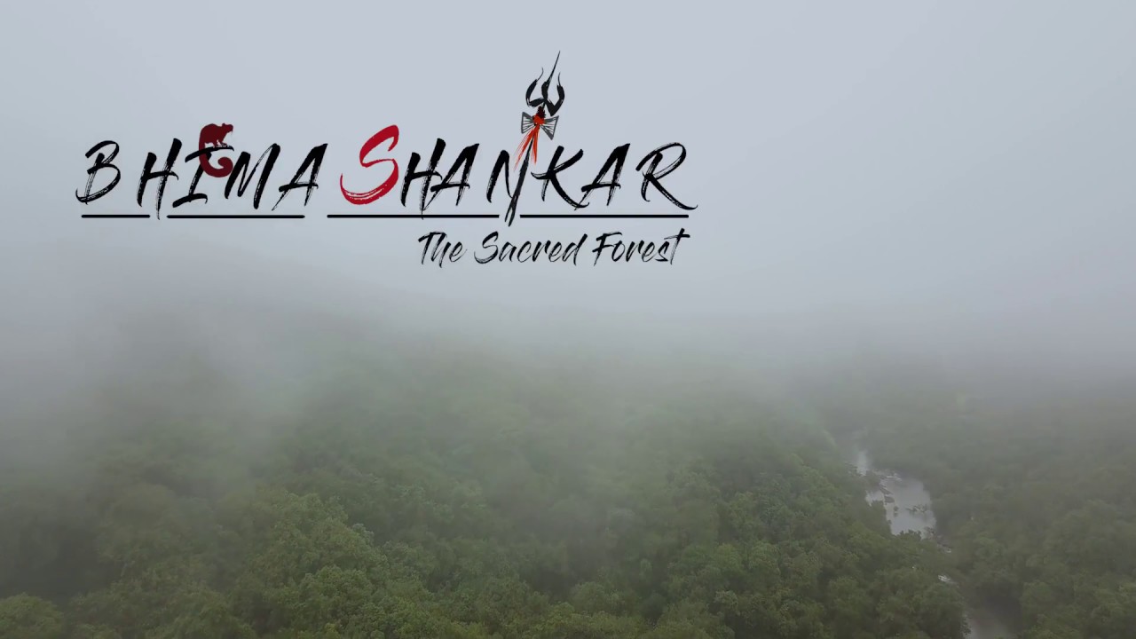 Bhimashankar Wildlife Sanctuary