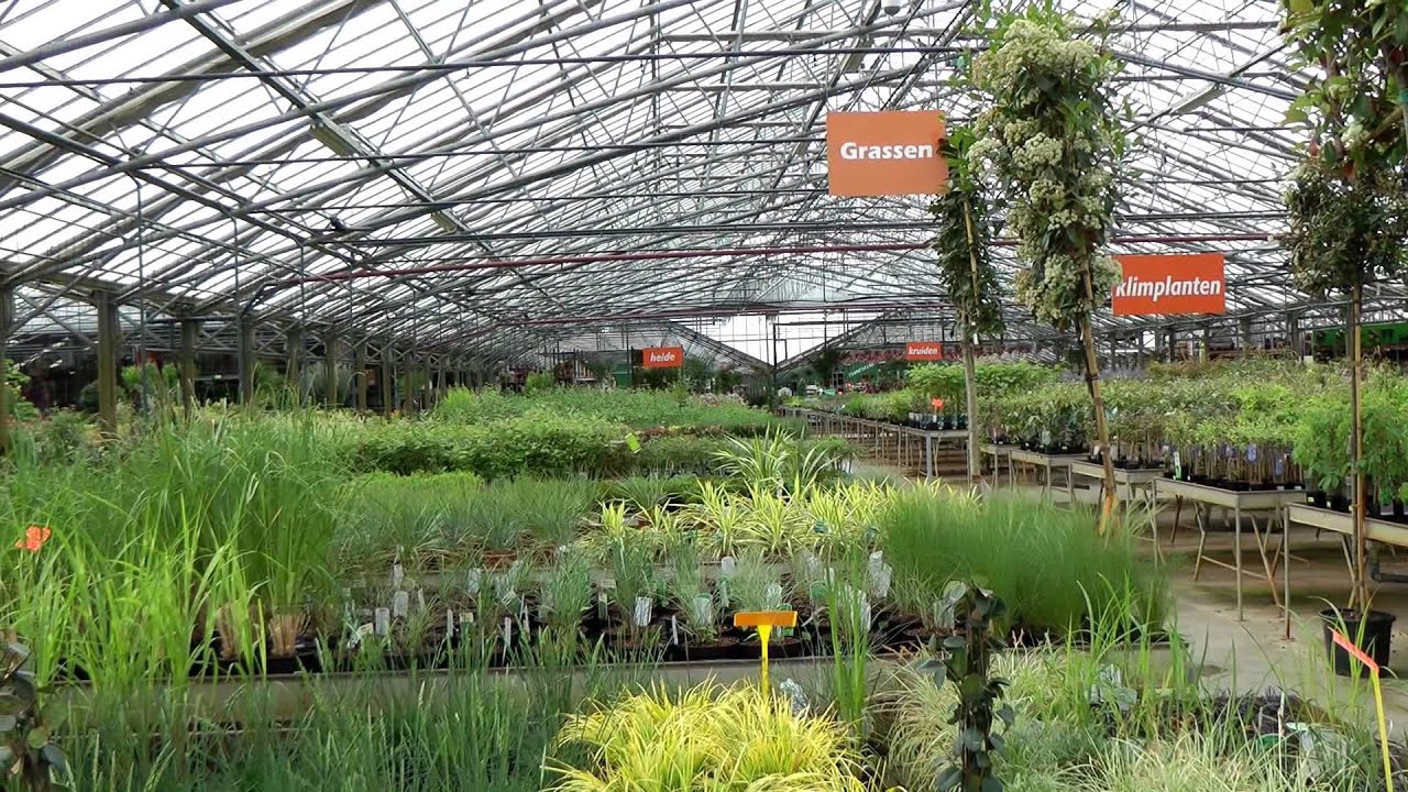 Tuincentrum Het Oosten is groot in tuinplanten