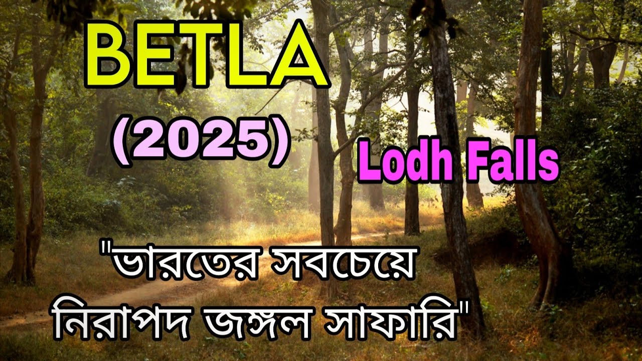 Betla National Park | Netarhat To Betla | Lodh Falls | Betla Jeep Safari