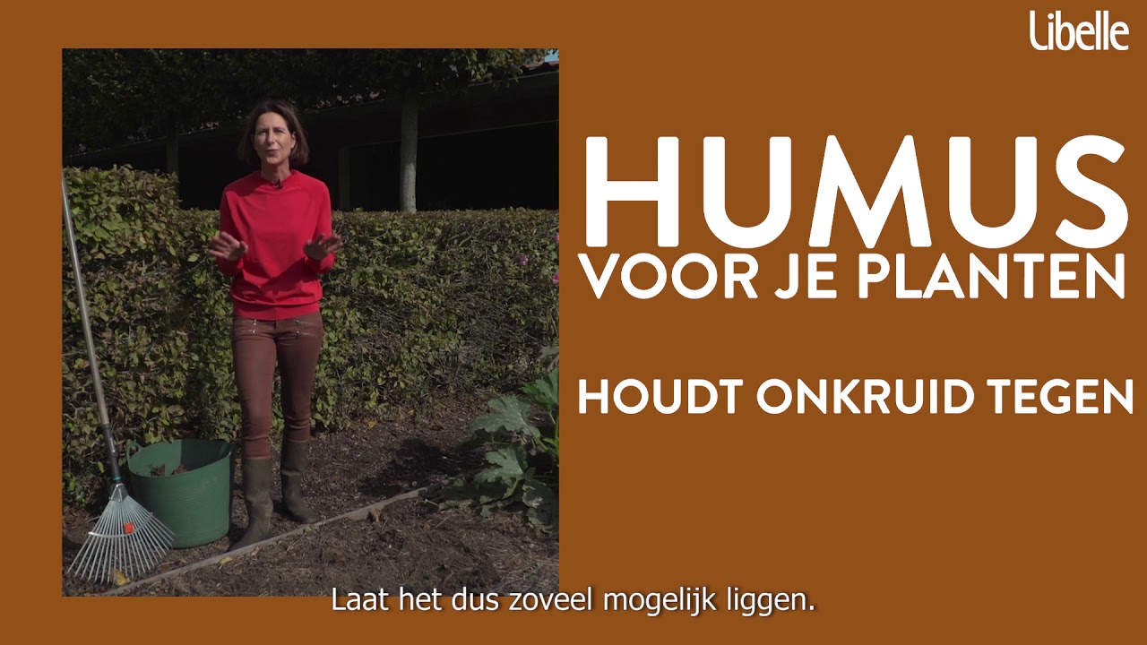 Is je tuin klaar voor de winter? (ism Libelle)